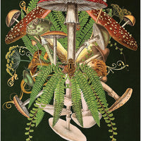 Unlocking The Secret Garden Oracle