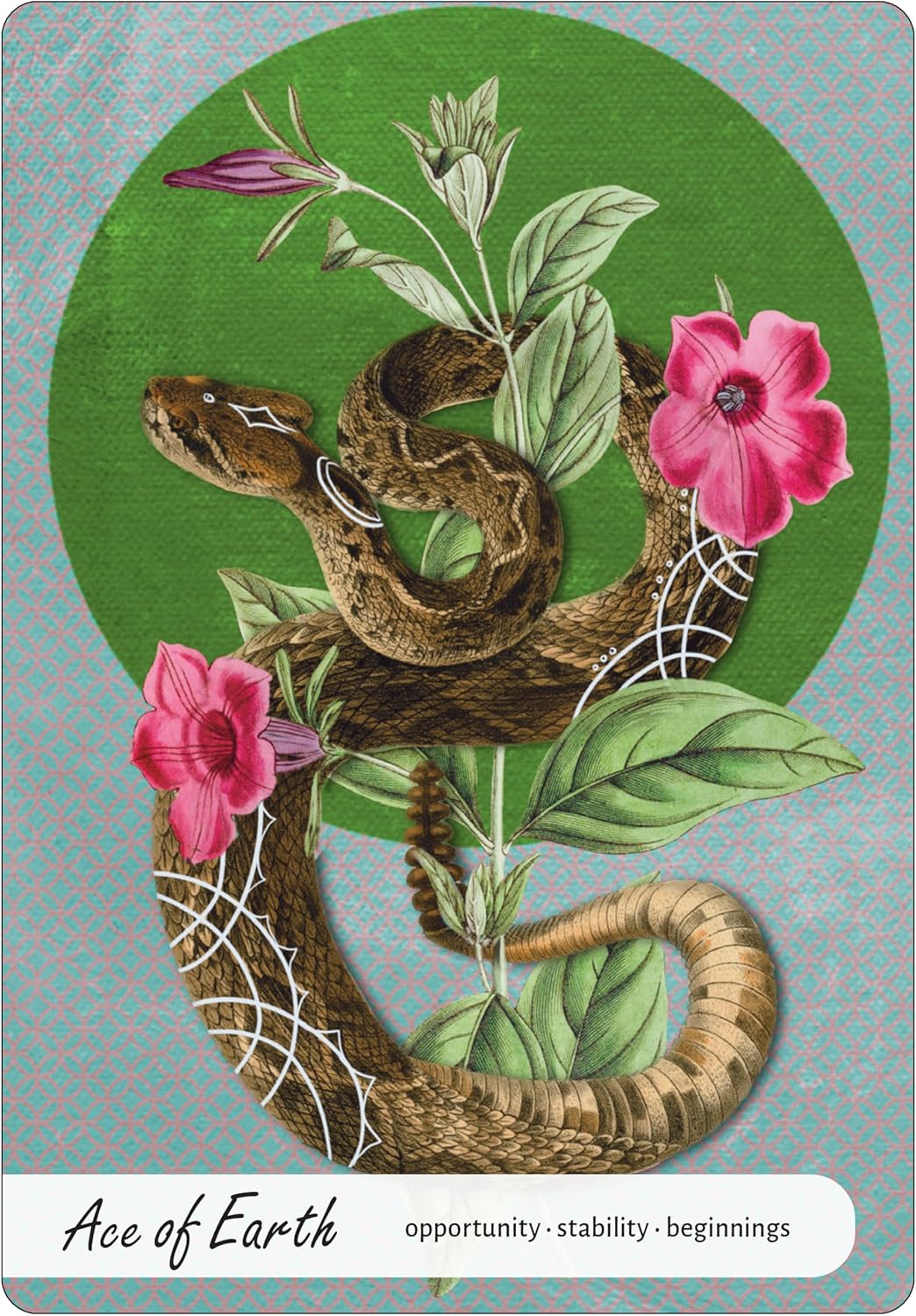 Wise Earth Medicine Tarot