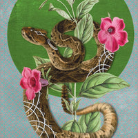 Wise Earth Medicine Tarot