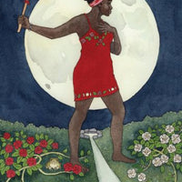 Witch's Wisdom Tarot Deck