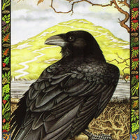 The Druid Animal Oracle Deck
