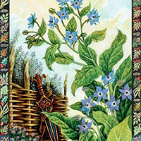 Druid Plant Oracle