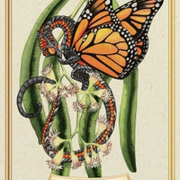Enchanted Blossoms Empowerment Oracle
