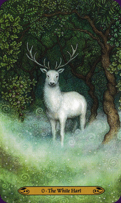 Forest of Enchantment Tarot