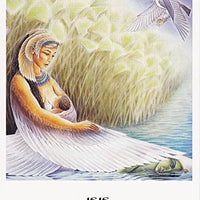 The Goddess Oracle Deck/Book Set