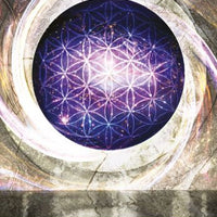 Gateway Of Light Activation Oracle