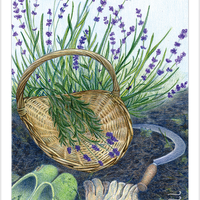 The Herbcrafter's Tarot Deck