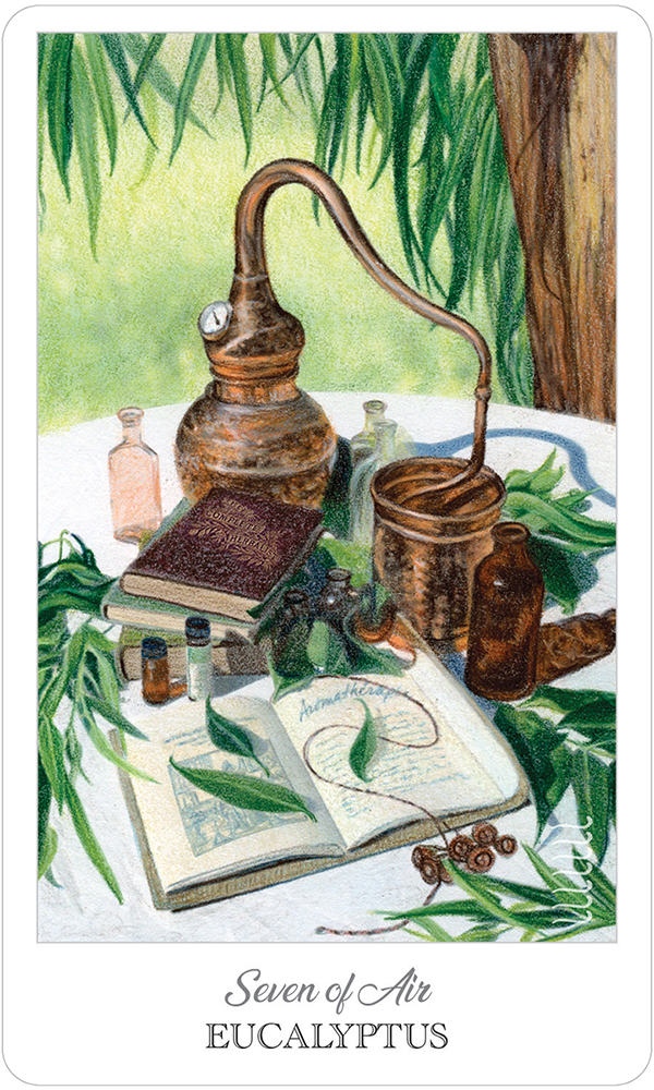 The Herbcrafter's Tarot Deck