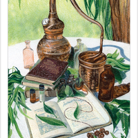 The Herbcrafter's Tarot Deck
