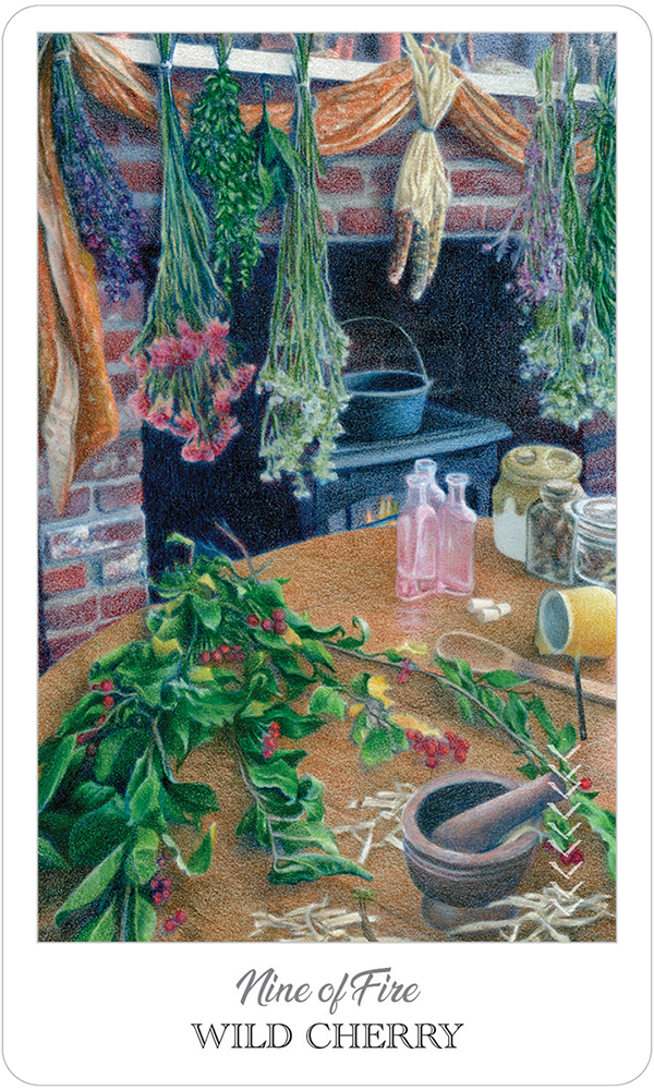 The Herbcrafter's Tarot Deck