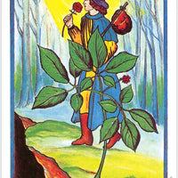 The Herbal Tarot Deck