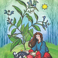 The Herbal Tarot Deck