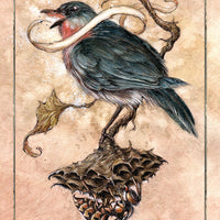 Hush Tarot