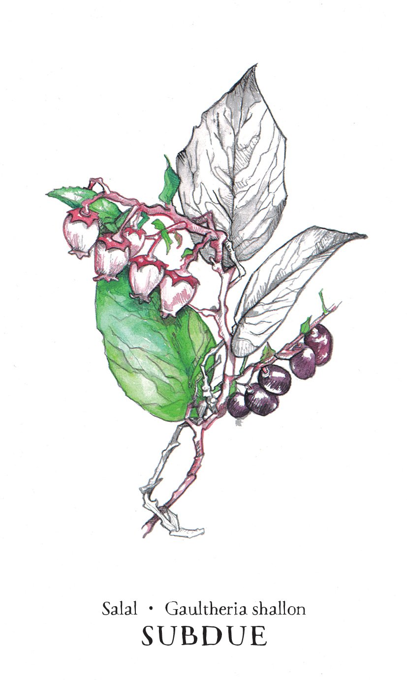 Hedgewitch Botanical Oracle Set