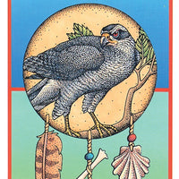 Medicine Cards Deck/Book Set