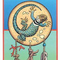 Medicine Cards Deck/Book Set