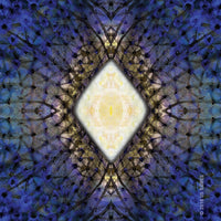 Messages From the Light Meditation Deck