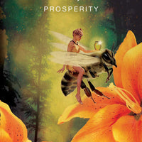 The Sacred Forest Oracle