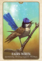 Secret Language of Animals Cards