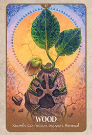 Secret Language of Animals Cards