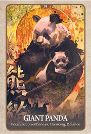 Secret Language of Animals Cards