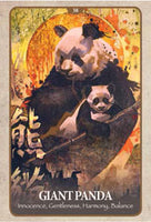 Secret Language of Animals Cards