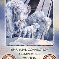 Spirit of the Wheel Meditation Deck