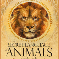 Secret Language of Animals Cards