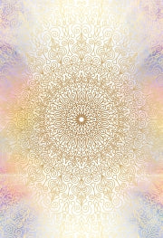 Secret Language of Light by Denise Jarvie