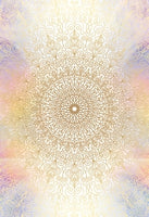 Secret Language of Light by Denise Jarvie