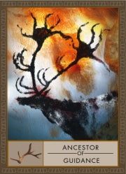 Shaman's Oracle (The) - John Matthews & Wil Kinghan