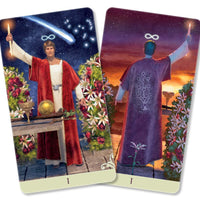 Vice Versa Tarot Kit