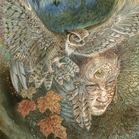 The Winged Enchantment Oracle Deck