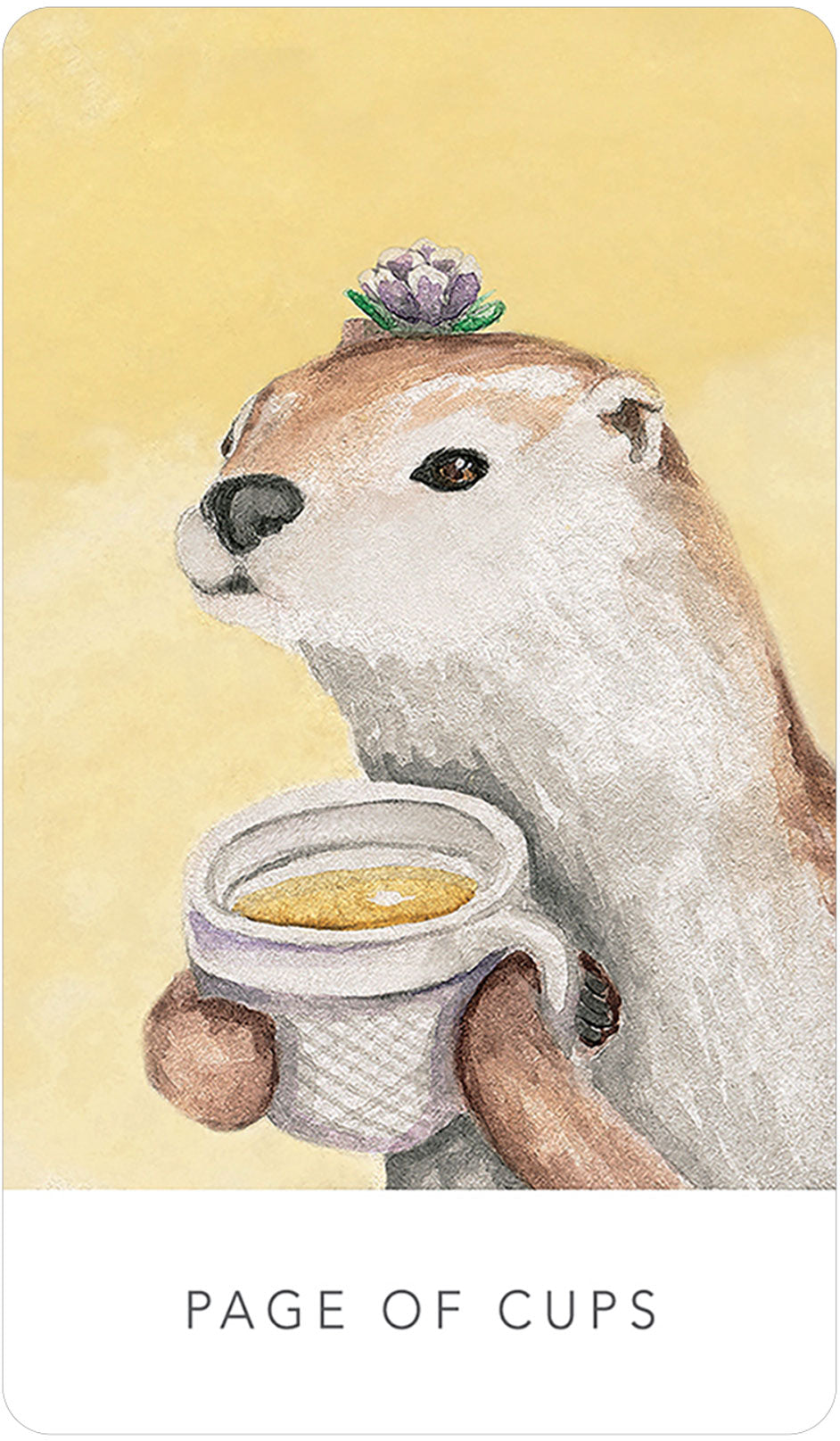 White Sage Tarot in a Tin