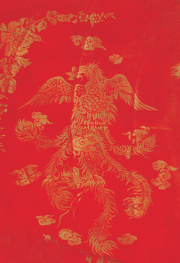 Wild Kuan Yin Oracle