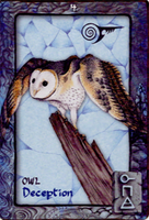 Animal Dreaming Oracle Cards