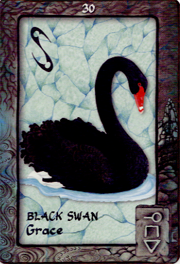 Animal Dreaming Oracle Cards
