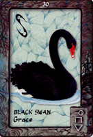Animal Dreaming Oracle Cards