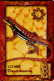 Animal Dreaming Oracle Cards