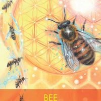 Archangel Animal Oracle Cards