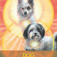 Archangel Animal Oracle Cards