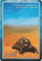 Chakra Insight Cards