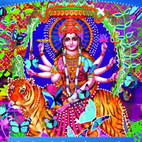 Divine Abundance Oracle Cards