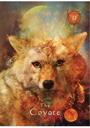 Mystical Shaman Oracle Cards