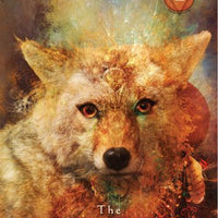 Mystical Shaman Oracle Cards