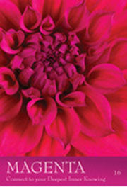 Secret Language of Color Cards