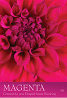 Secret Language of Color Cards