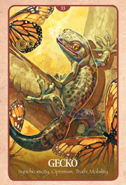 Secret Language of Animals Cards