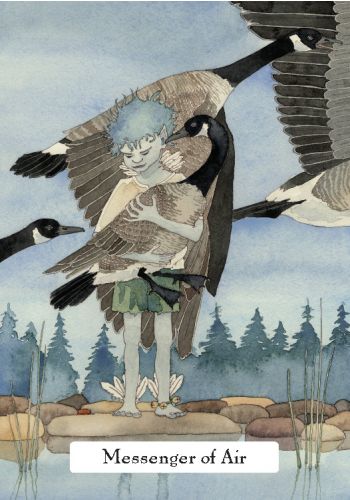 The Witch's' Wisdom Tarot Set