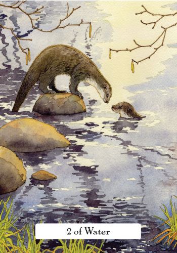 The Witch's' Wisdom Tarot Set